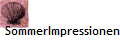 SommerImpressionen