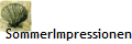 SommerImpressionen