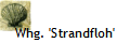 Whg. 'Strandfloh'