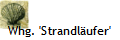 Whg. 'Strandlufer'