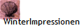 WinterImpressionen