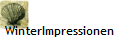 WinterImpressionen
